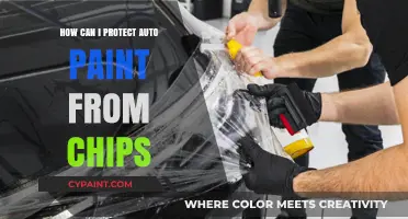 Shield Your Ride: Expert Tips to Prevent Auto Paint Chips