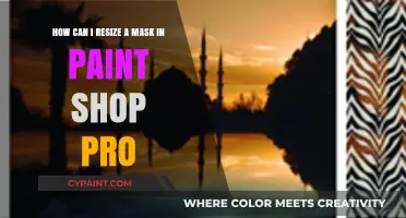 Resizing Masks in PaintShop Pro: A Step-by-Step Guide