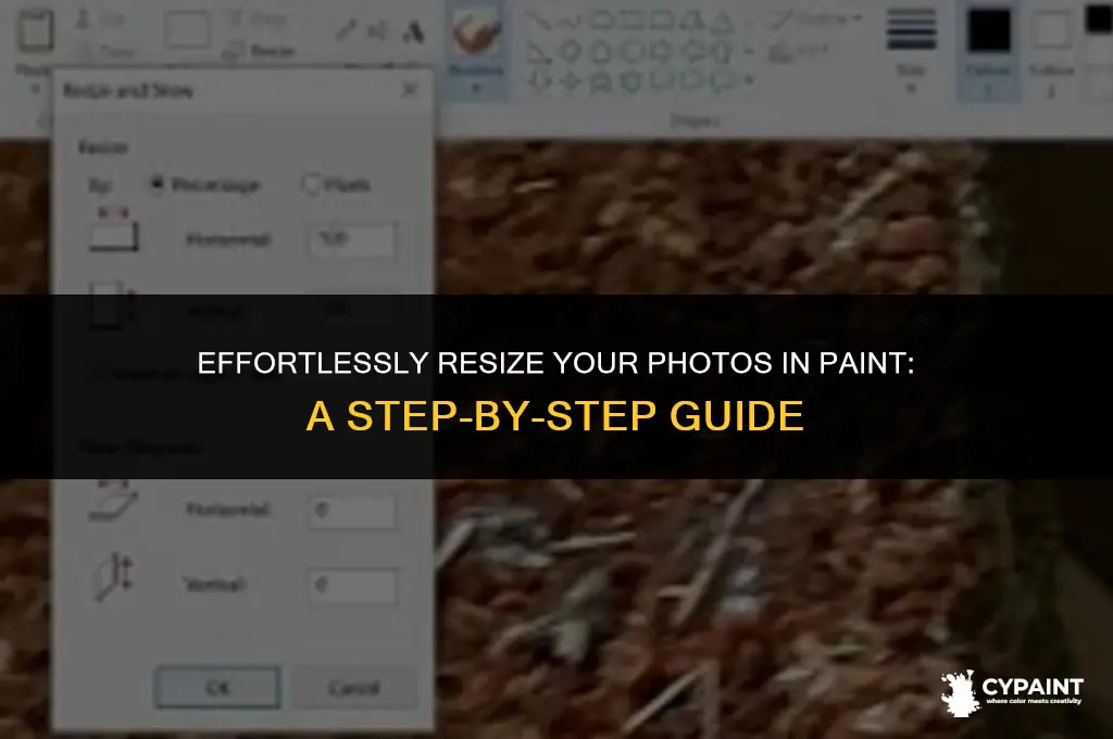 how can i resize a photo in paint