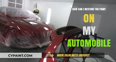Restore Your Car's Paint Job: DIY Guide