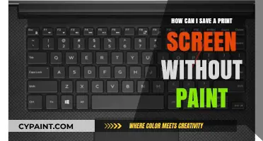Taking Screenshots: Paint-Free Methods to Save Your Screen