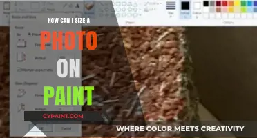 Mastering Photo Resizing in Paint: A Step-by-Step Guide