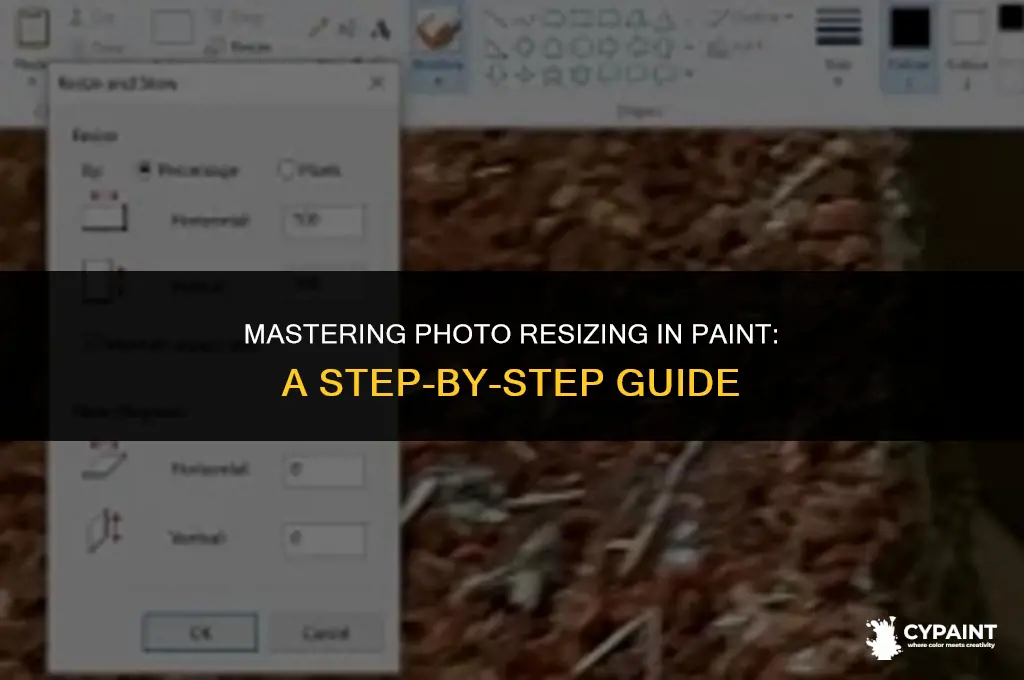 how can i size a photo on paint
