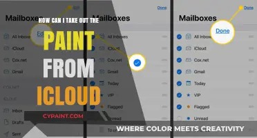 Unlocking iCloud: Removing Paint with Precision