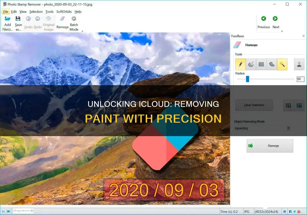 how can i take out the paint from icloud