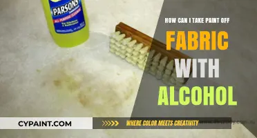 Removing Paint Stains from Fabric with Alcohol