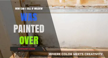 Spotting Mildew Under Paint: A Simple Guide