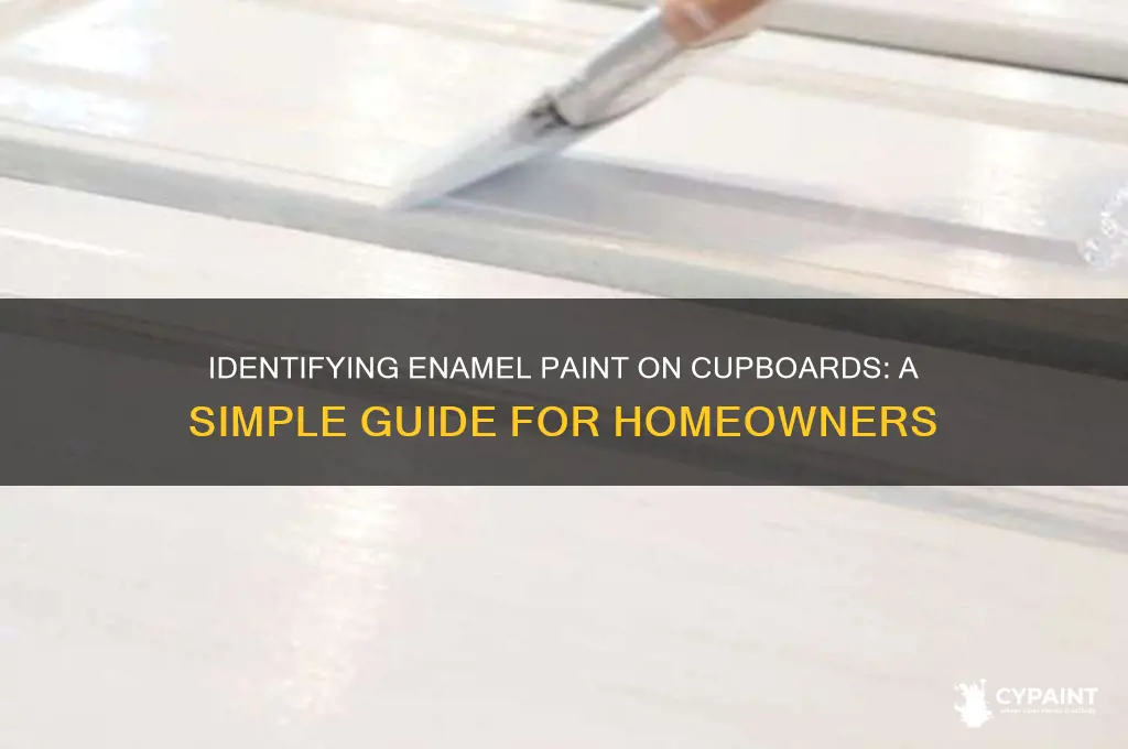 how can i tell if my cupboards have enamel paint