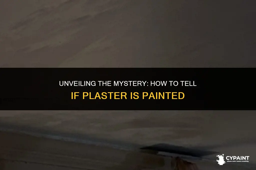 how can i tell if plaster is painted