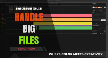 Efficiently Managing Large Files in Paint Tool SAI: A Comprehensive Guide