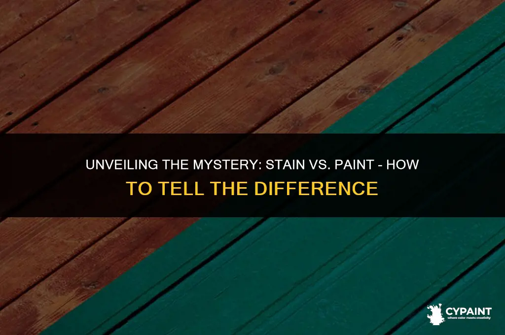 how can tell difference between stain and paint