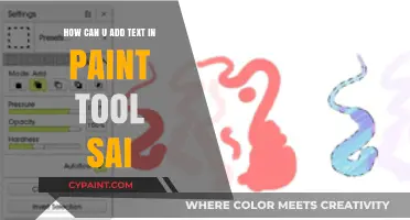 The Ultimate Guide: Adding Text in Paint Tool SAI