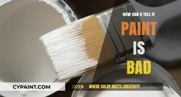 Decoding Paint Quality: A Guide to Spotting Bad Paint