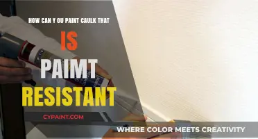 Mastering Paint-Resistant Caulk: Tips for Seamless Painting and Finishing