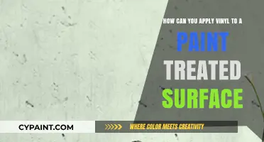 Mastering Vinyl Application on Paint-Treated Surfaces: Tips and Techniques
