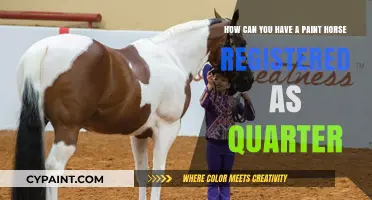 Registering Your Paint Horse as a Quarter Horse: A Step-by-Step Guide