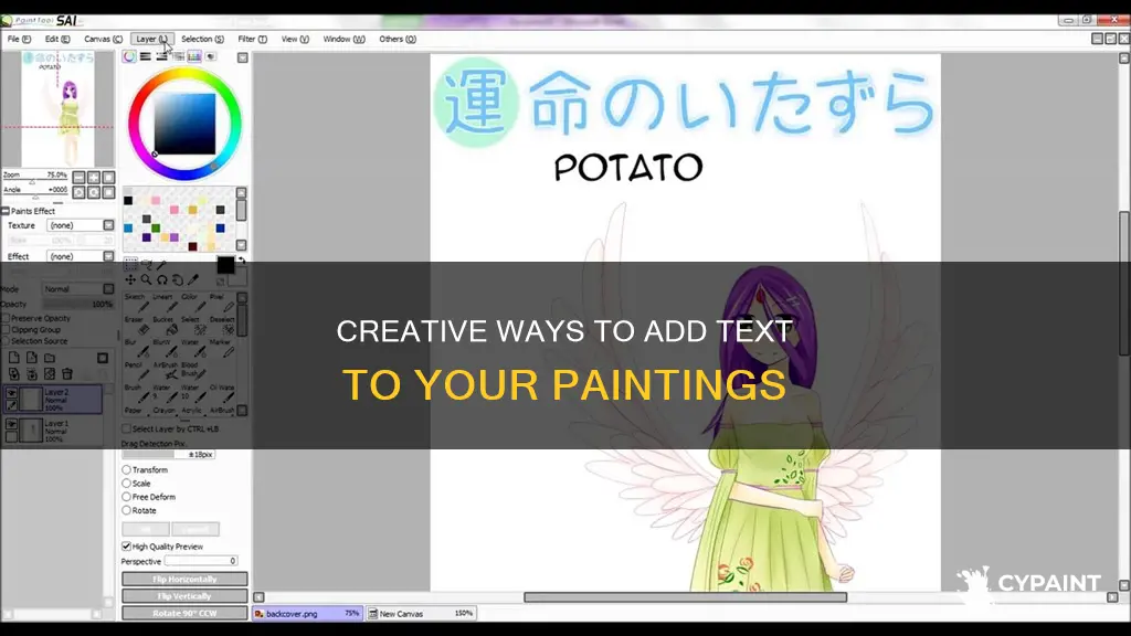 how can you include text on a paint page