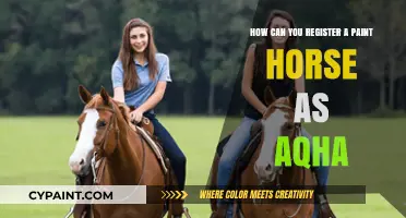 Registering Paint Horses: AQHA Requirements