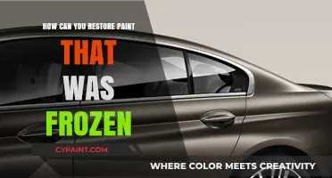 Reviving Frozen Paint: A Step-by-Step Restoration Guide
