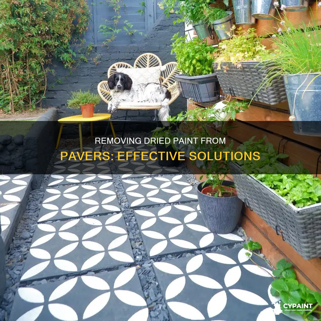 how can you take dried paint off of pavers