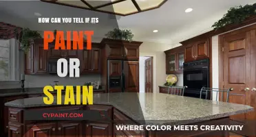 Differentiating Paint and Stain: A Quick Guide