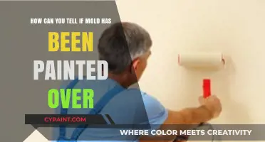 Detecting Hidden Mold: Signs of Paint Cover-Ups and Risks