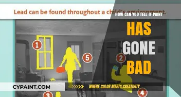 Spotting Bad Paint: Signs Your Paint Has Gone Off