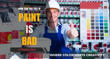 Decoding Paint Quality: Signs Your Paint Has Gone Bad