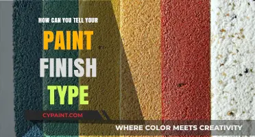 Identifying Your Paint Finish: A Comprehensive Guide