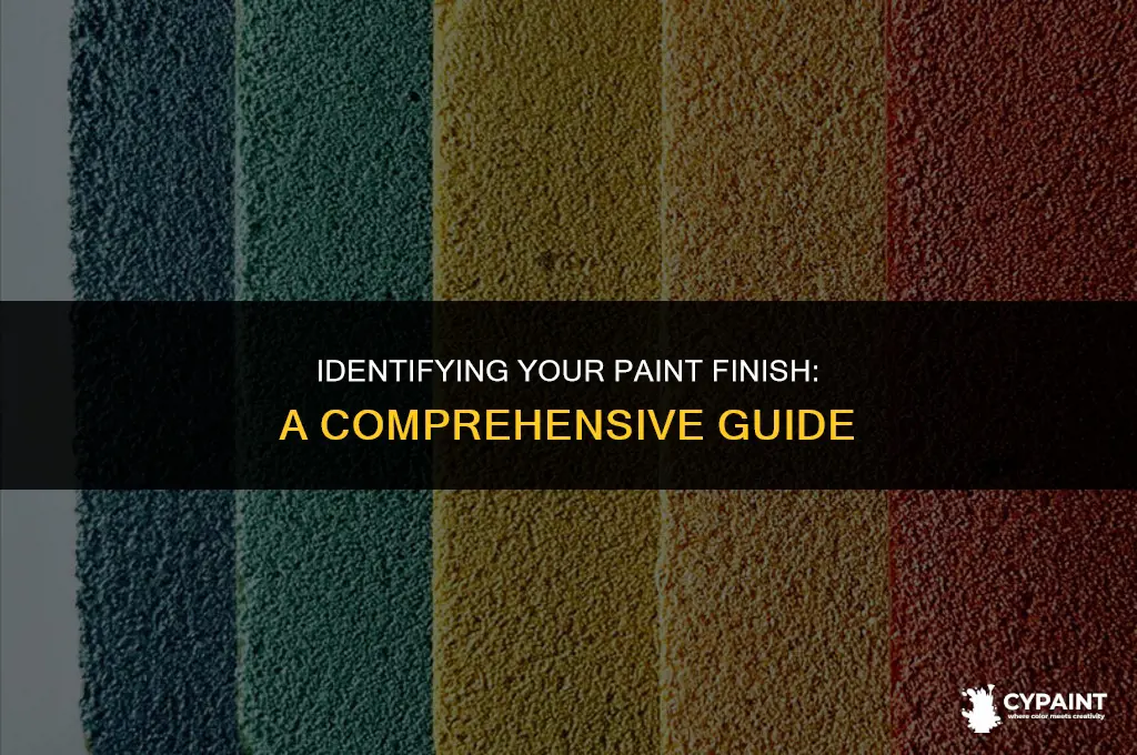 how can you tell your paint finish type