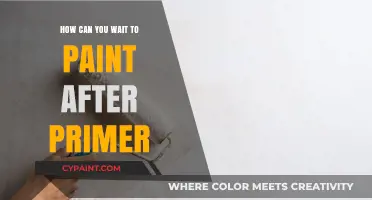 Mastering the Art of Patience: When to Paint After Primer