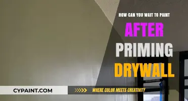 Primer Patience: Drywall Painting Prep
