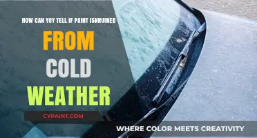 Cold Weather Damage: Identifying Ruined Paint After Winter Exposure