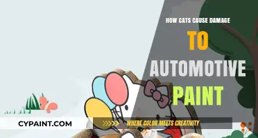 Feline Scratches: How Cats Secretly Damage Your Car's Paint