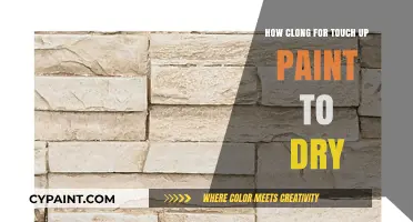 Touch-Up Paint: Drying Time and Factors Affecting It
