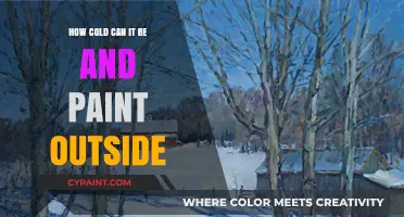 Chilly Brushstrokes: Painting Outdoors in Frigid Temperatures