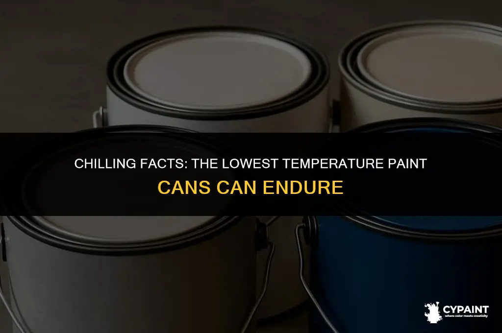 how cold can paint in a can gey