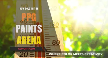 PPG Paints Arena: Uncomfortably Cold or Refreshingly Cool?