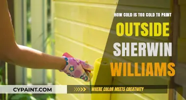 Sherwin-Williams Outdoor Painting: What’s the Coldest Temperature Limit?