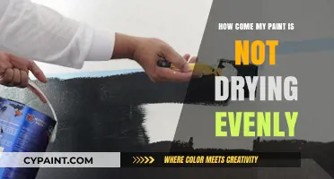 Troubleshooting Uneven Paint Drying: Quick Fixes