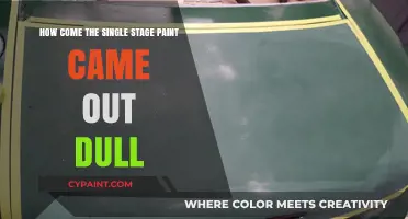 The Dull Truth About Single-Stage Paint Jobs