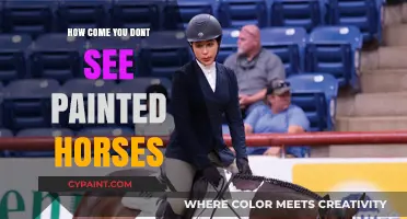 Why Painted Horses Rarely Appear in Modern Equestrian Traditions