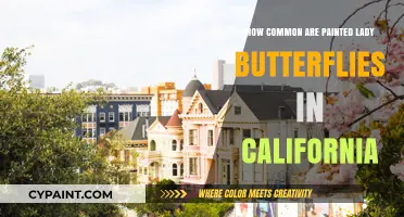 Painted Ladies: California's Colorful Visitors