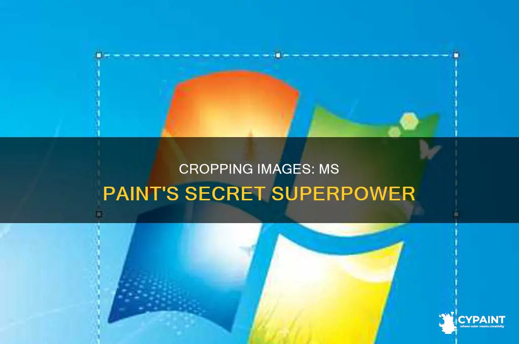 how cut shape from image in ms paint