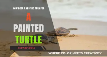The Perfect Nesting Depth for Painted Turtles