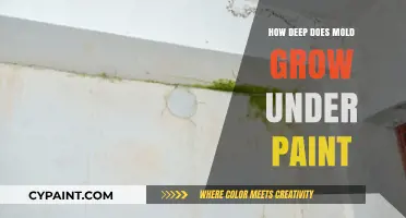 How Deep Can Mold Penetrate Beneath Painted Surfaces?