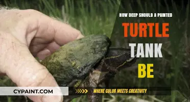 The Ideal Tank Depth for Painted Turtles