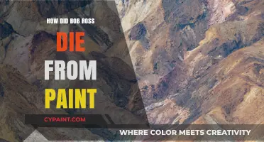 Debunking the Myth: Bob Ross’s True Cause of Death, Not Paint