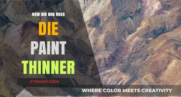 Bob Ross' Death: The Paint Thinner Controversy Explained