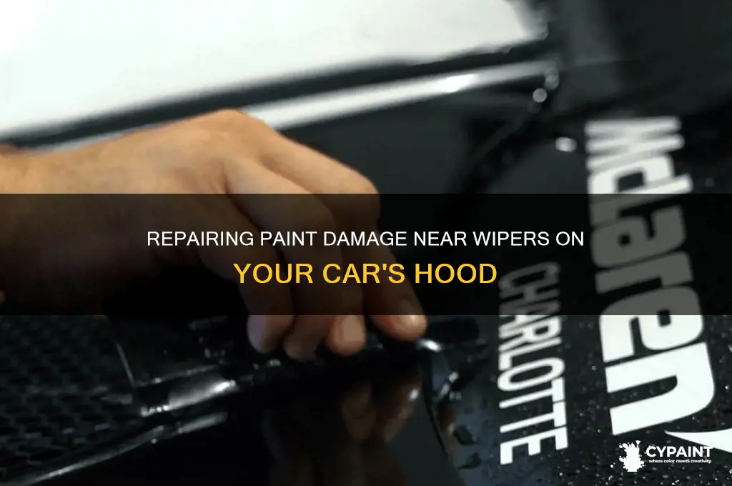 how did my hood near the wipers paint